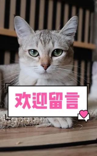 生活妙招——风油精的精妙用处