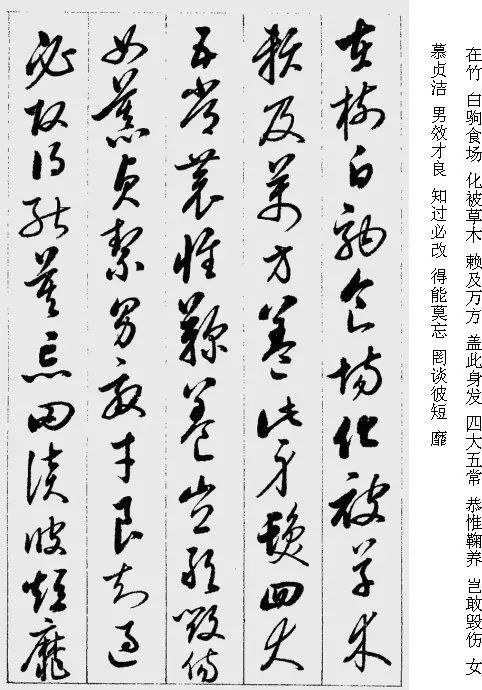 启功的草书千字文字帖,启功千字文字帖草书