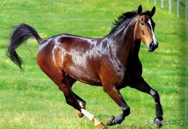 十二时辰午时,十二时辰午时三刻