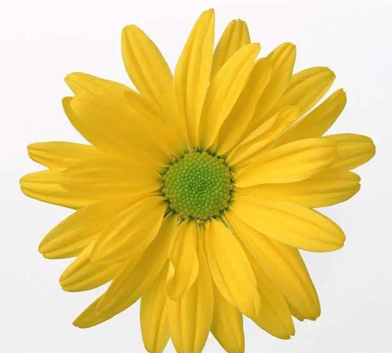 肛门瘙痒西医怎么治疗,肛门瘙痒症中医怎么治疗