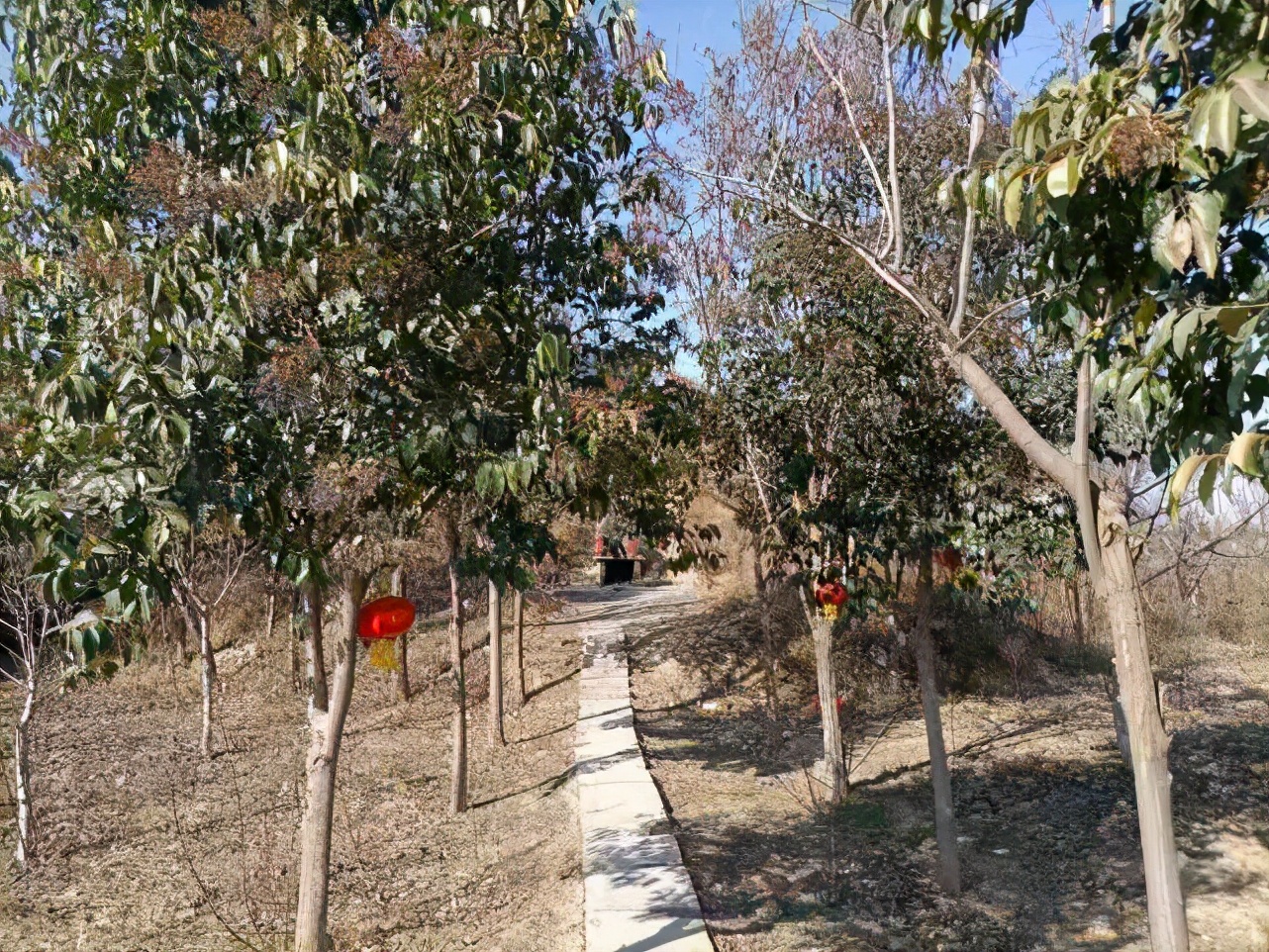 濮滃瓙鐗欏巻鍙蹭笂鐪熷疄瀛樺湪,濮滃瓙鐗欒韩涓婄殑璋滃洟