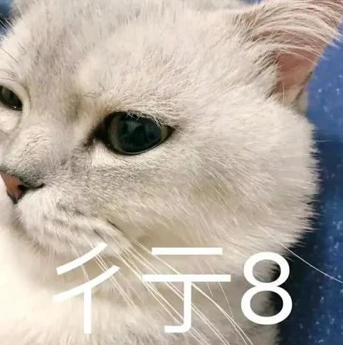 玻璃袜和星空袜,玻璃袜90年代