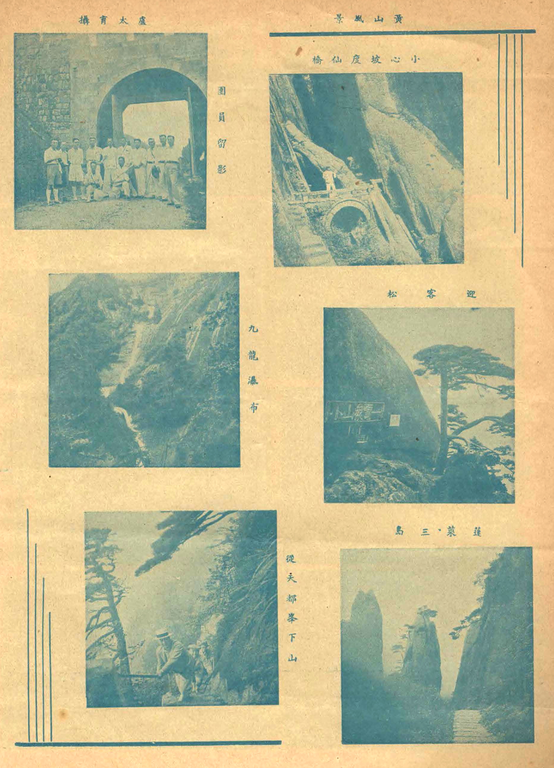 贵宾迎客松的真假辨别方法,黄山迎客松真假