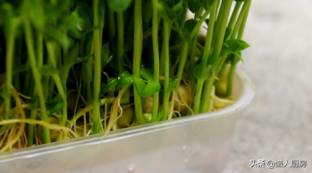 清炒豌豆苗最好吃的做法,豌豆苗做法简单又好吃