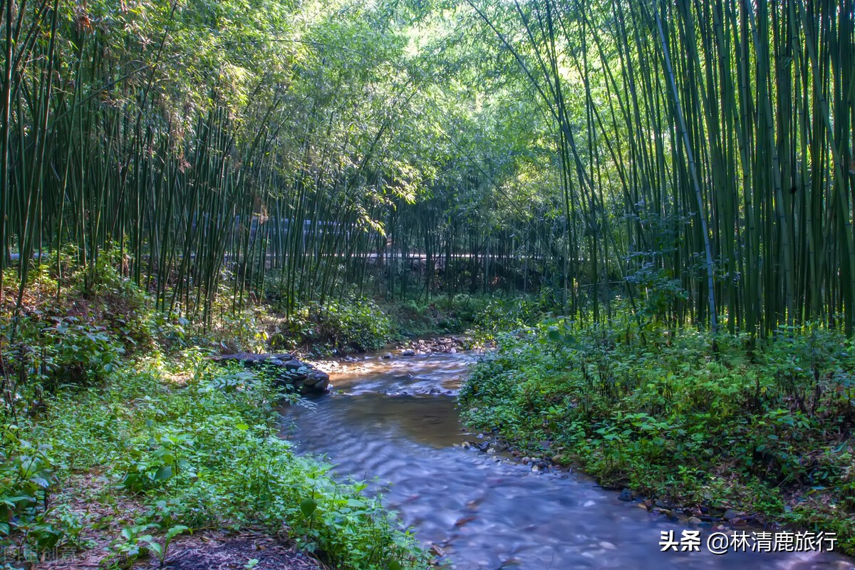 河南最适合度假居住的景区,河南神仙谷旅游景区