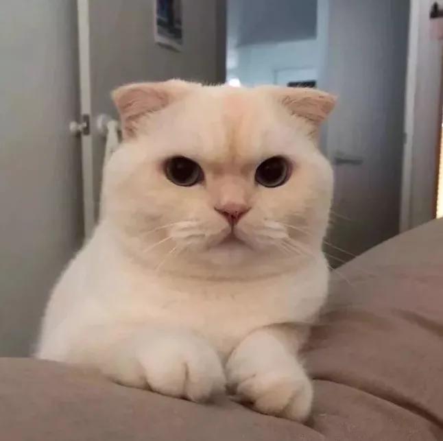 怀疑自己被当“备胎”了？发“3条QQ”试试，回答错误直接拉黑