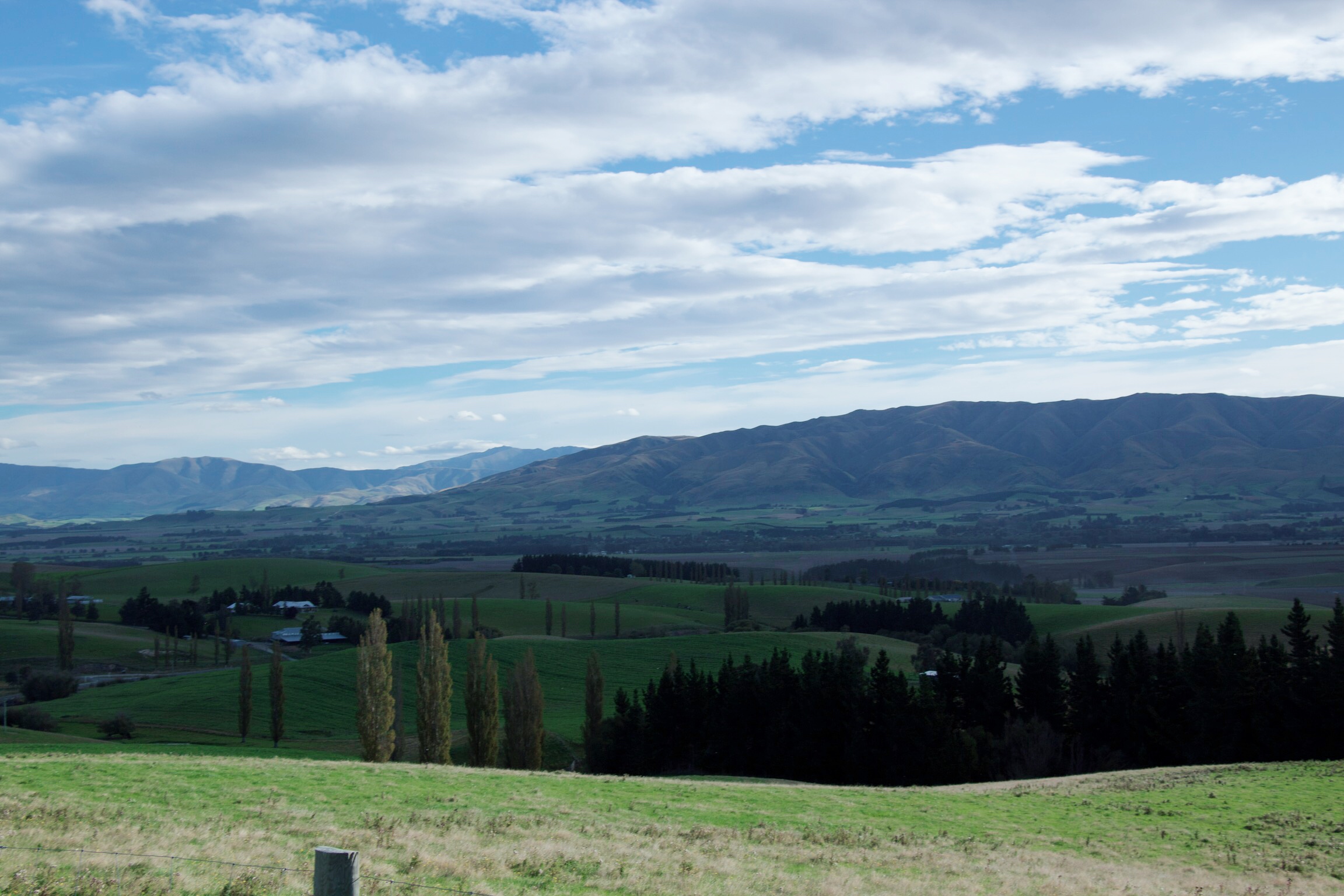 新西兰旅游必备大牌礼物,新西兰旅行攻略完整详细版