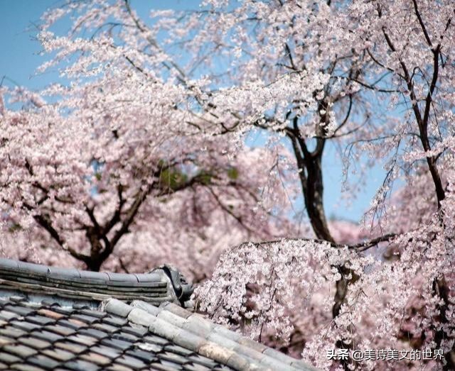 李商隐爱情名句,李商隐写感情忠贞的句子