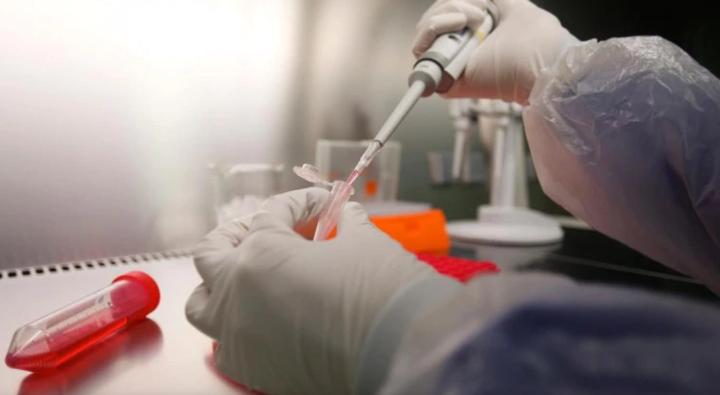 疫情何时能结束最新预测,疫情何时能够消失