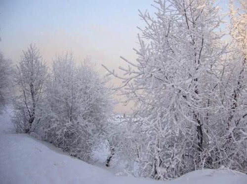 关于冬天风的作文200字,冬天的风的作文好段