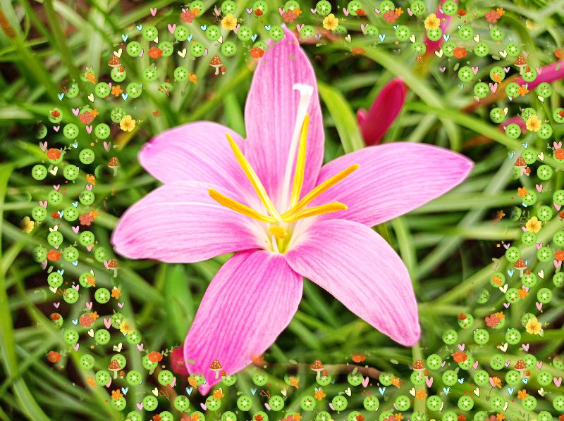 一个人不成熟的四种表现,一个人成熟的标志接受自己的不足