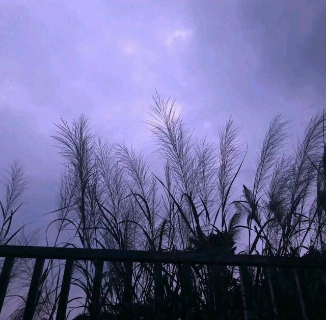 发抖音必火的句子伤感文字,抖音快手最火的伤感句子