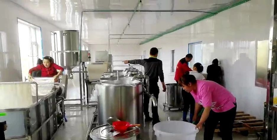 豆腐制作中水质的影响,豆腐加工的工艺有哪些