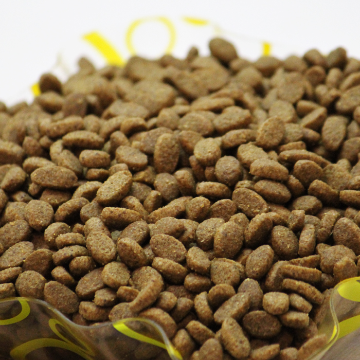 猫咪呕吐白色泡沫拉稀怎么回事,成年猫咪呕吐并且拉稀吃什么药