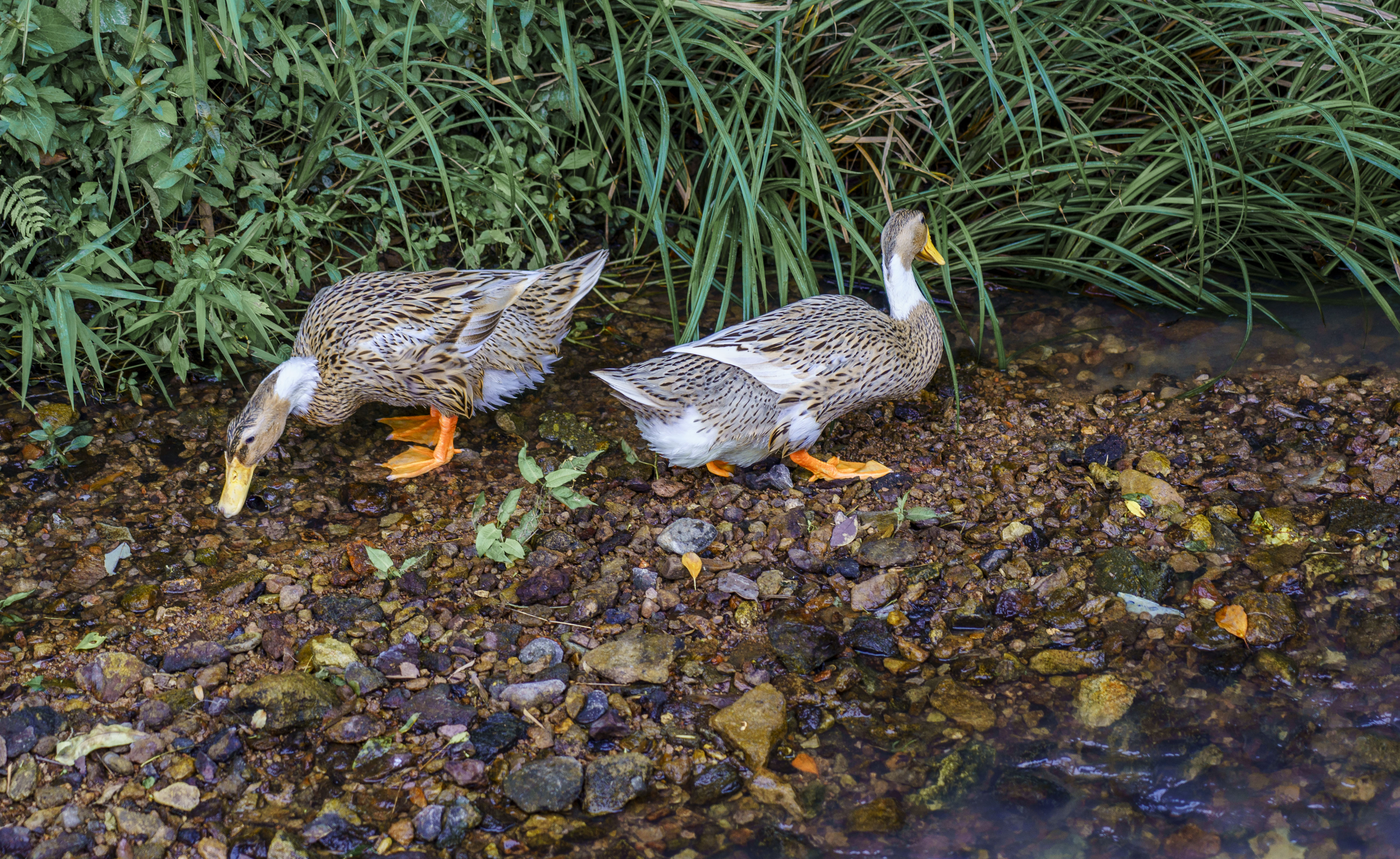 浙江缙云旅游必去的景点,浙江被严重低估的景点