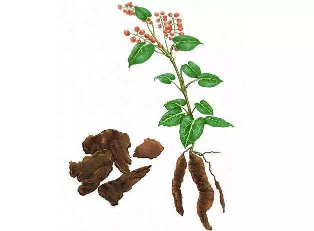 中药因炮制而升华,中药炮制会改变药性吗