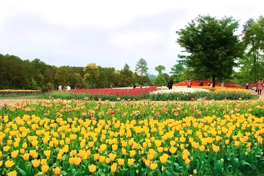 美丽中国一起去看流星雨,美丽中国一起走背面视频
