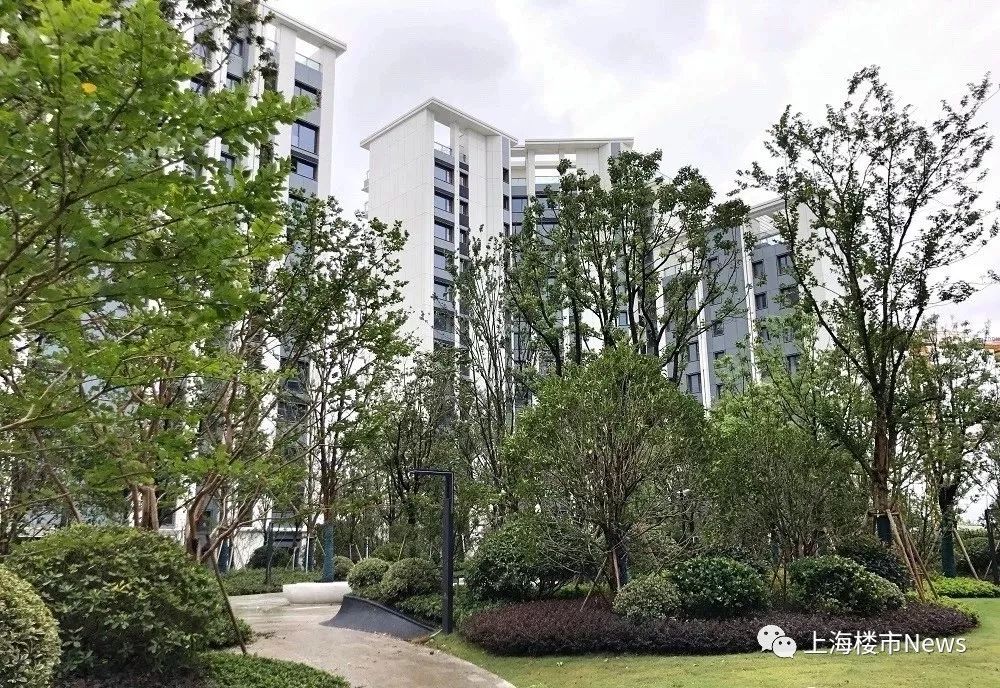 前滩板块最好的户型图,前滩各楼盘户型