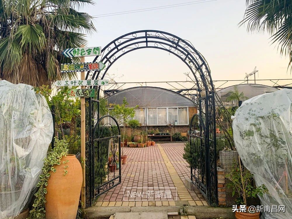 南昌花市有哪些地方,南昌花市批发市场