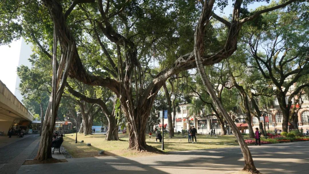 广州最北的地方,广州景区沙面岛
