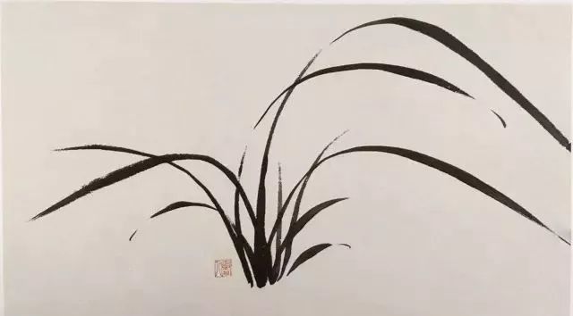 如何画兰花图片大全大图,怎么样画兰花才能好看