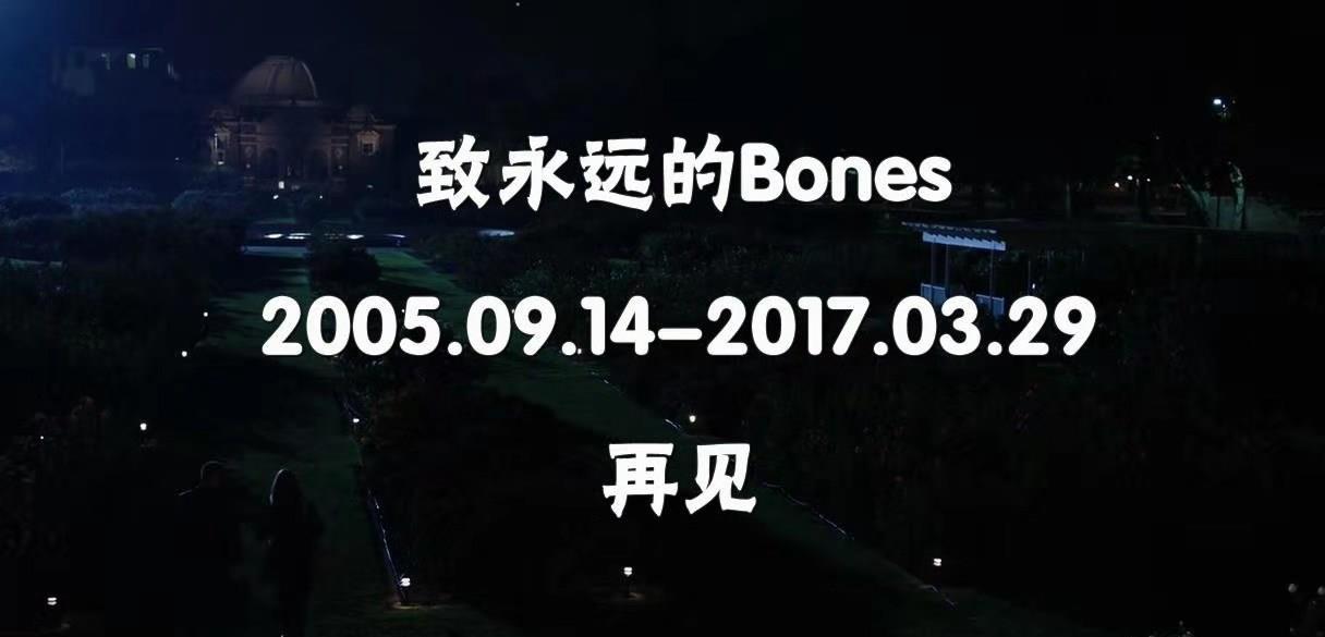 推荐一部类似于骨语类型的电视剧,推荐一下和骨语差不多的电视剧