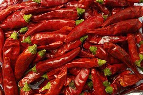 各种干辣椒品种哪种香,各种干辣椒品种和特点