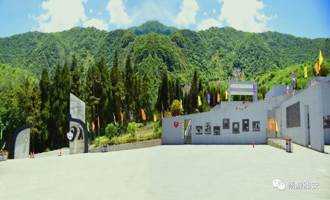 雅安4天旅游攻略最新版,五一去雅安的攻略