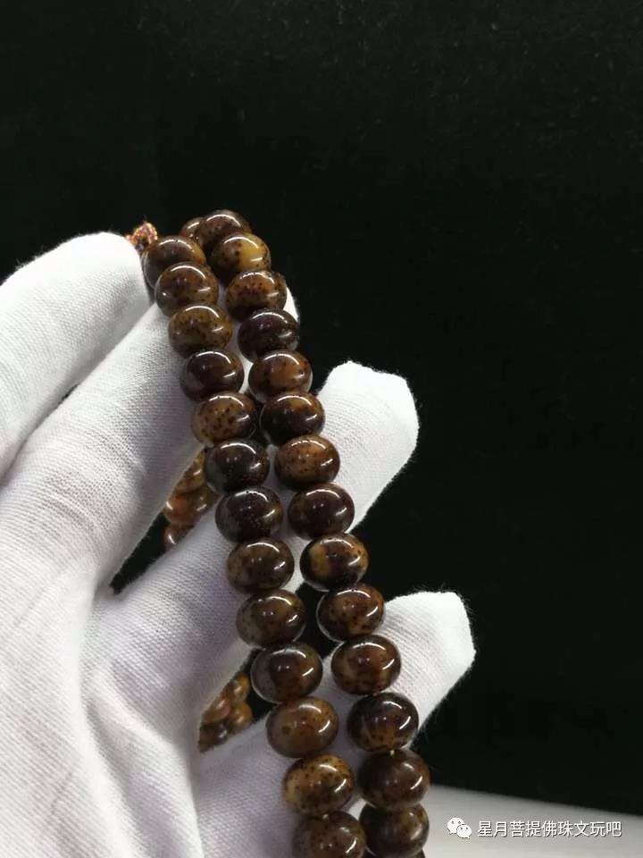 星月菩提盘玉化后效果,星月菩提全玉化和微玉化