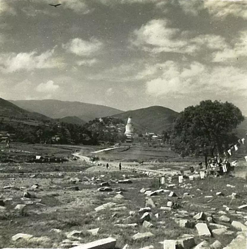 你可能没见过的姓氏,你可能没见过的日语