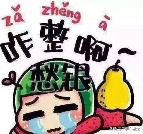 汽车保养记录看不懂,汽车保养记录查得到吗