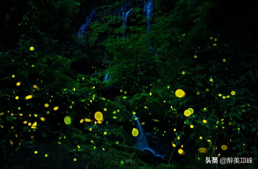 为什么有的人投资眼光很准,为什么越来越多的资本想投资酱酒