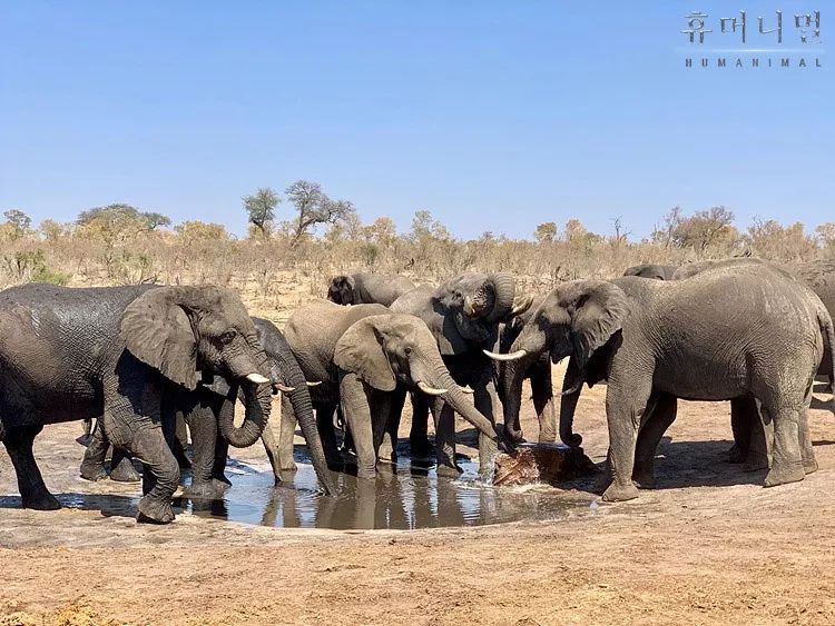 韩国寄生虫最新消息,寄生虫韩国结局