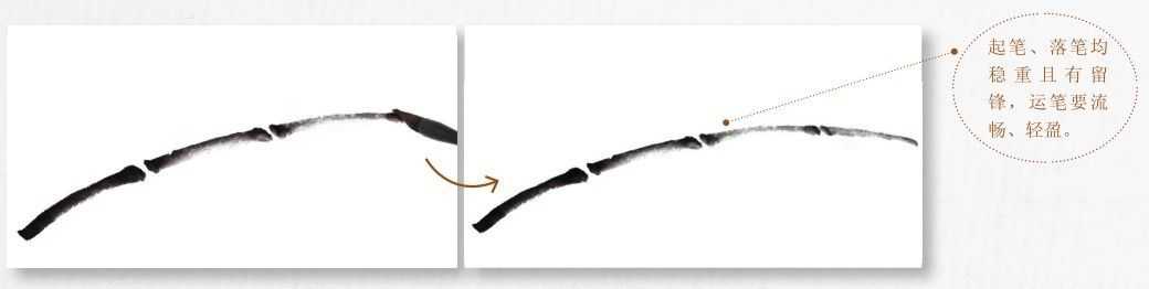 画竹子的简单画法水墨初学,竹子没骨画教程