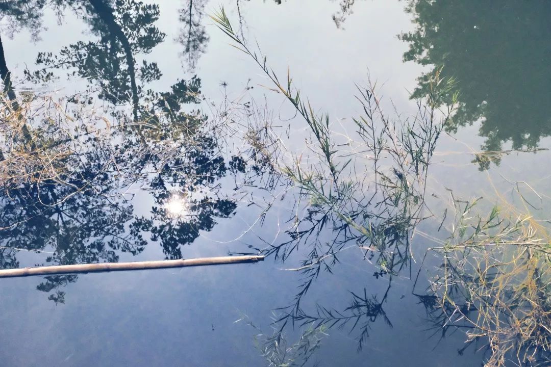 福永地方,这里是深圳宝安