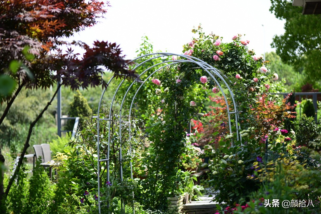 愿时光静止,愿时光静止在这一刻