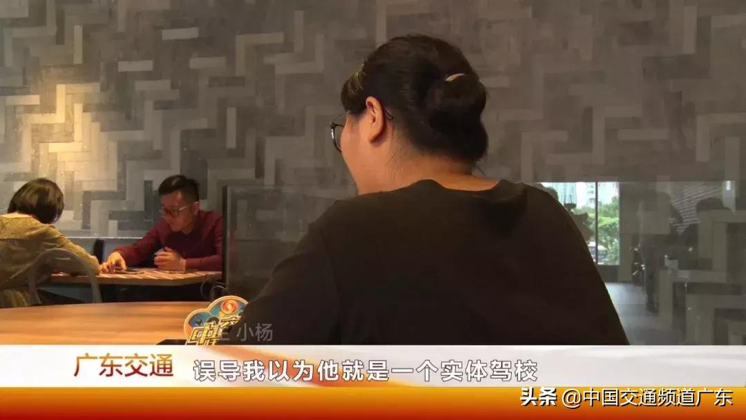 猪兼强驾校处理结果,猪兼强驾校最新消息