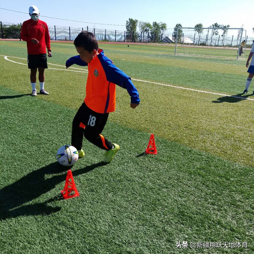 小雄鹰青训,小雄鹰夏令营