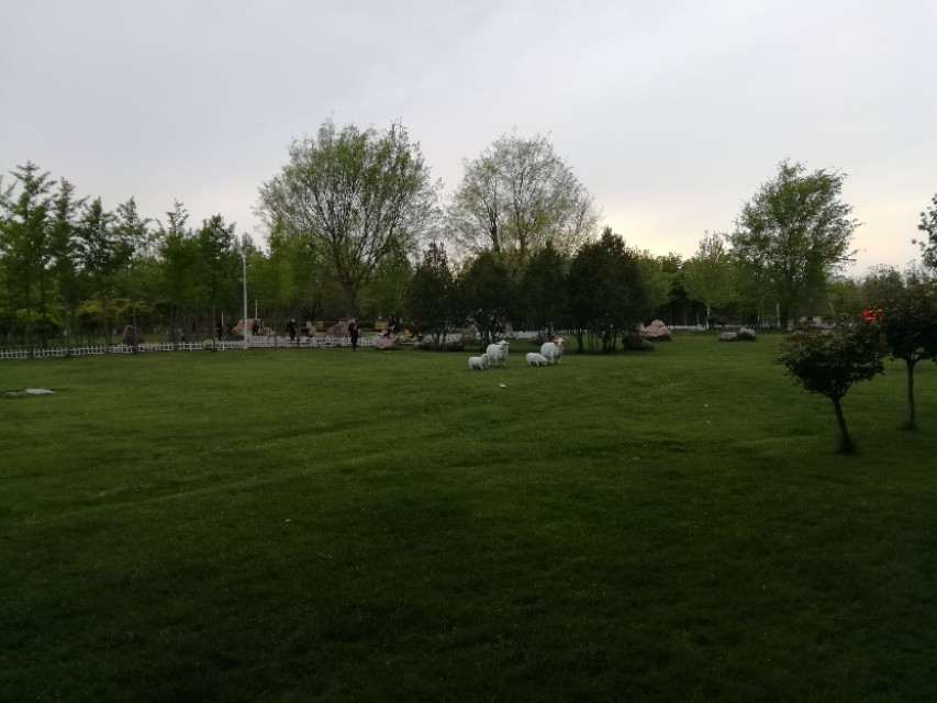 郑州树木园最新视频,郑州树木园现状