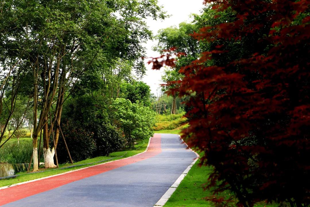 搞快点是哪里方言,搞快点