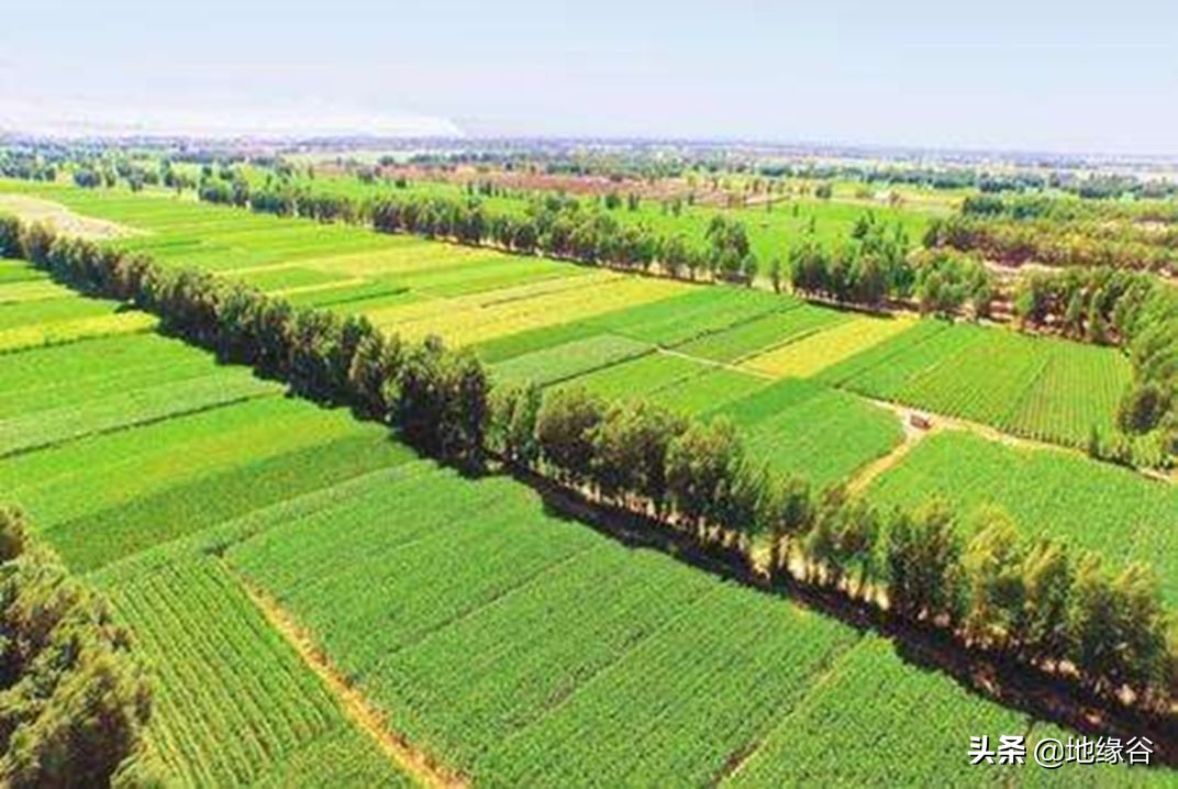 明朝为什么要放弃大片领土,明朝灭亡和甘肃的关系