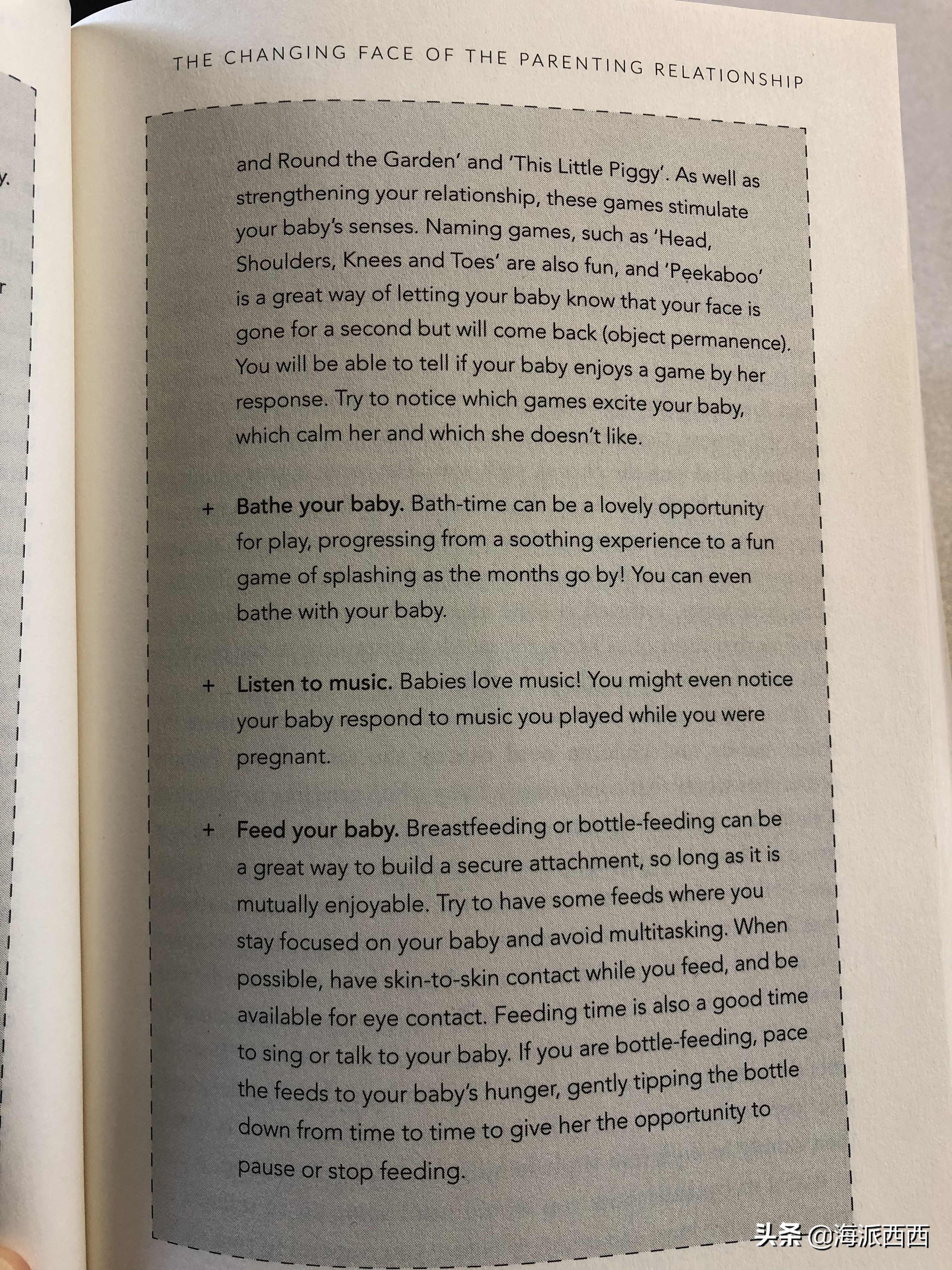 怀孕日记真实记录文字,怀孕日志之孕早期这些事