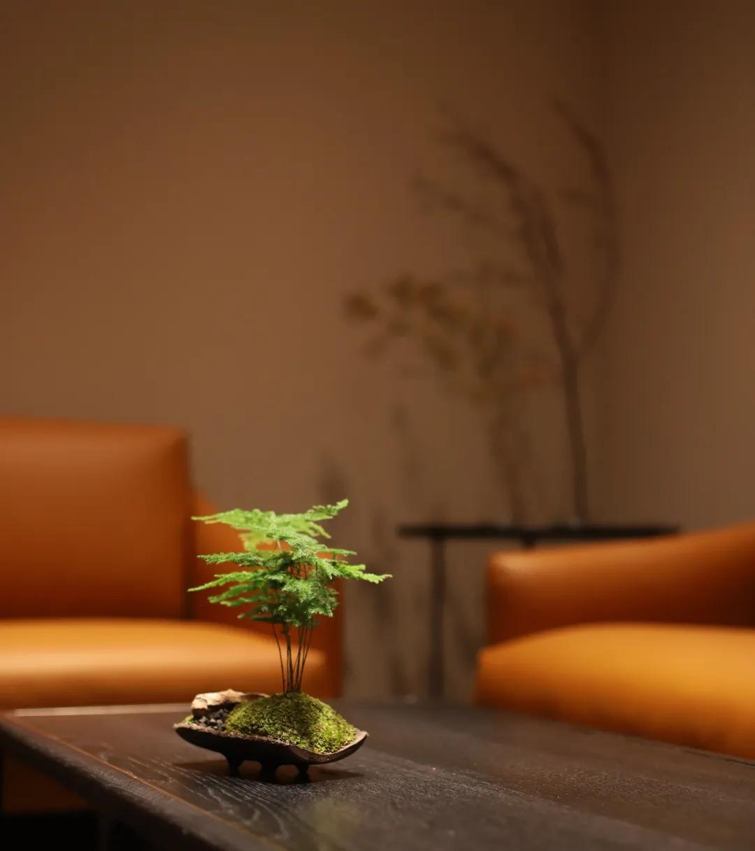 品真阁北京,品真阁北京实体店