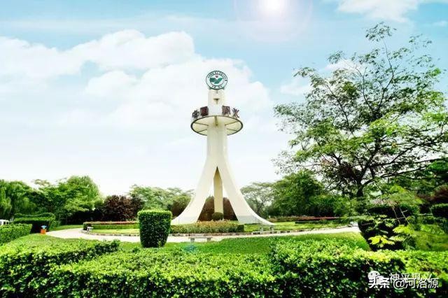 腾飞吧巩义,巩义腾飞