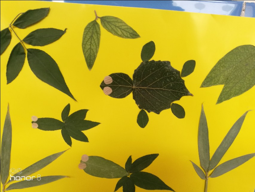 [秋叶之赋]秋日落叶漫漫，落叶归根，然而落叶有顽强的生命力