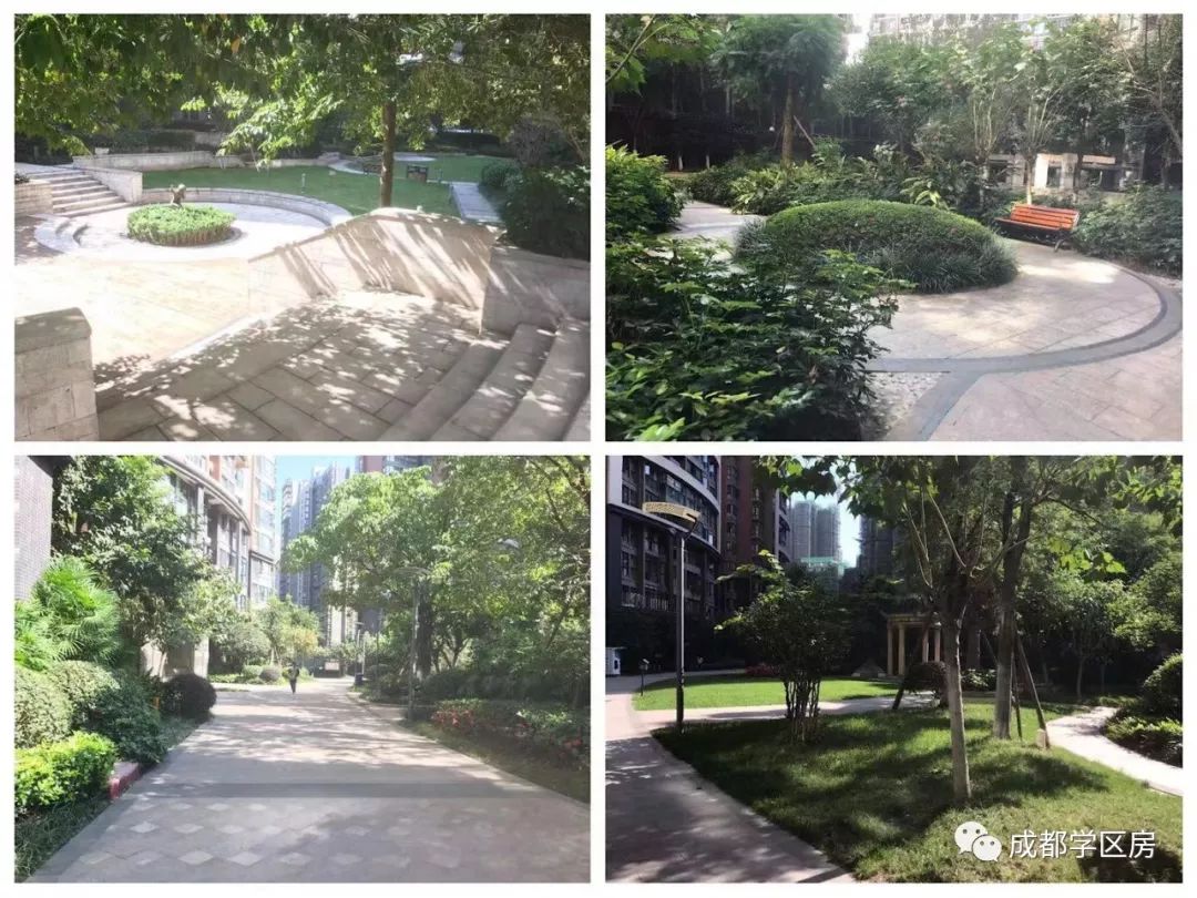 天府新区好的学区房有哪些,天府新区小学排名及周边楼盘