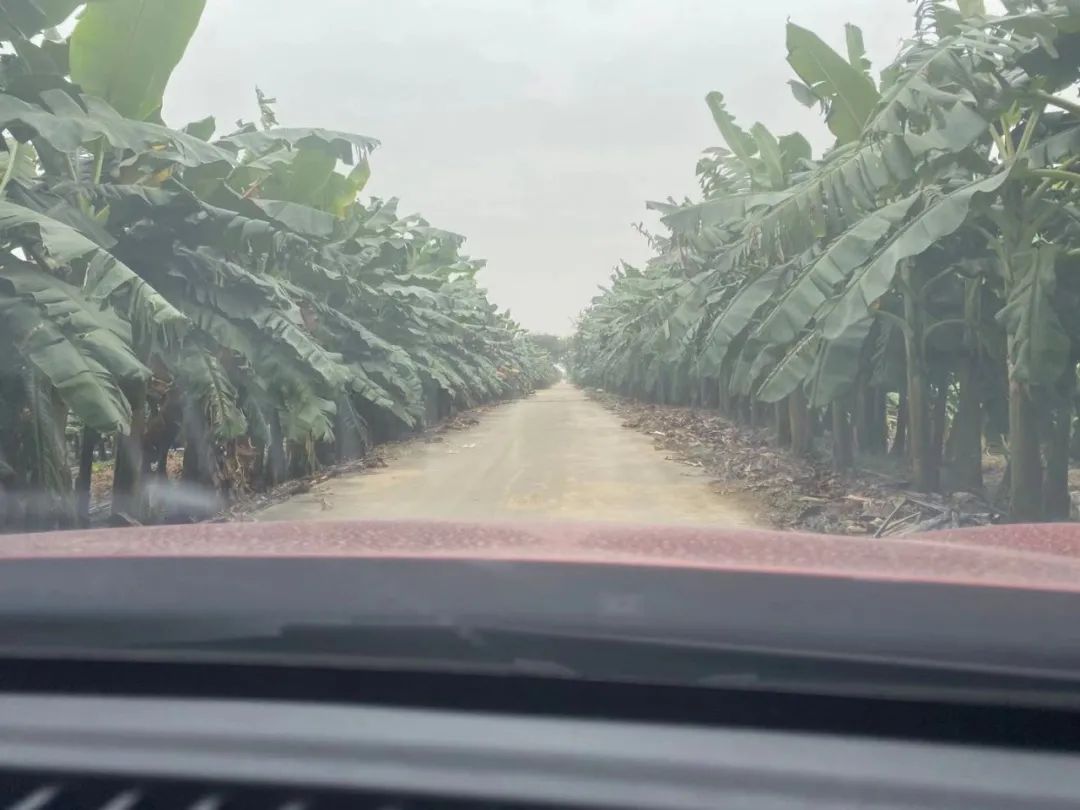 踩盘日记万科,踩盘日记