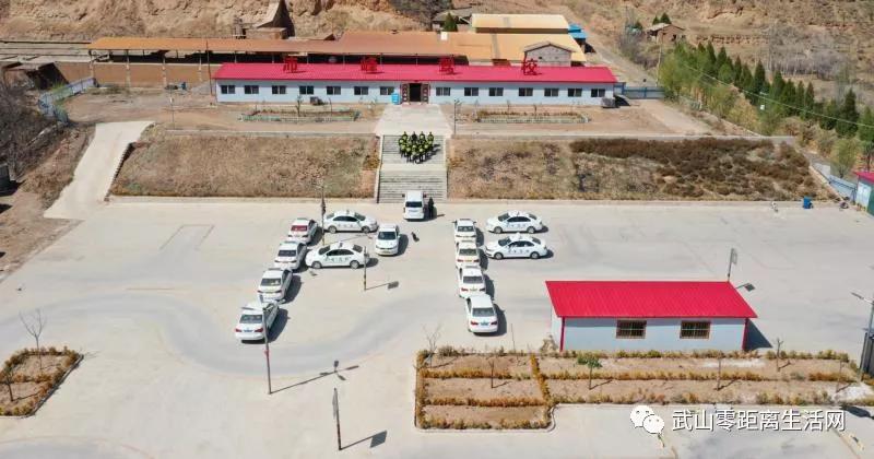 武山龙台油菜花节,湖口县武山油菜花节