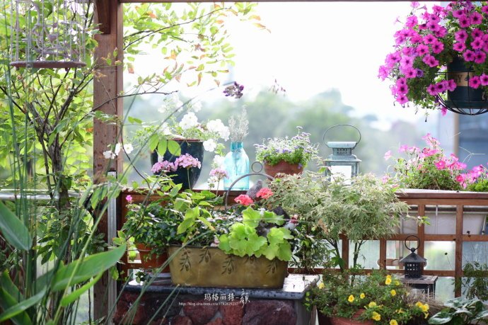 花园里防蚊子,在花园里劳作