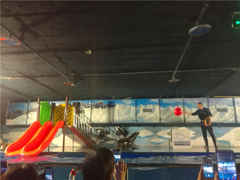 富国海底世界一日游,游富国海底世界